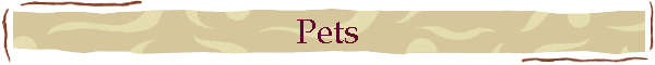 Pets